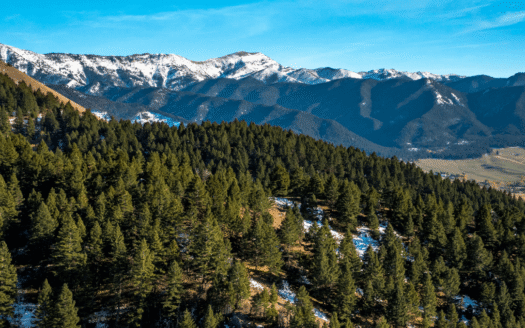 Corbly Mountain Ranch